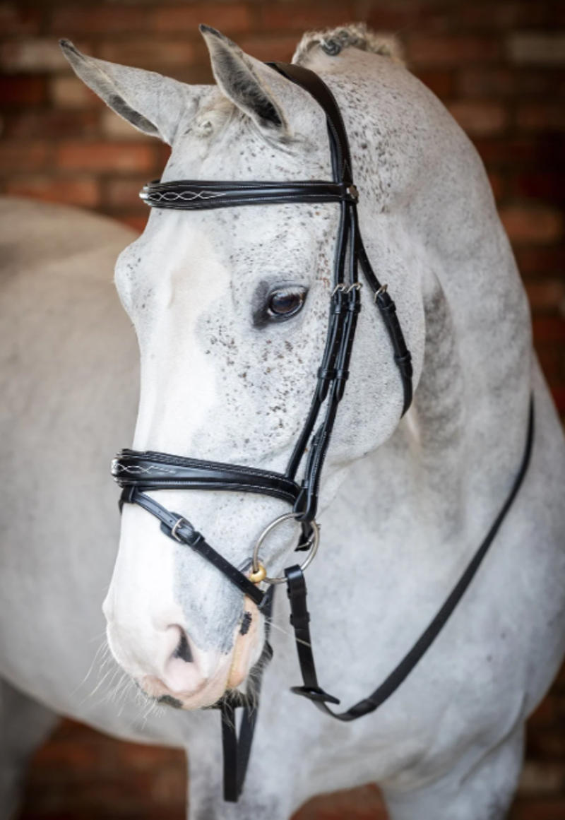 LeMieux Competition Flash Bridle Black-1